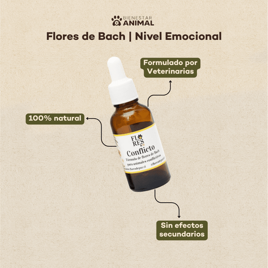Flores de Bach para Perros — Conflictos y Adaptación - Bienestar Animal | By Flores de Paz