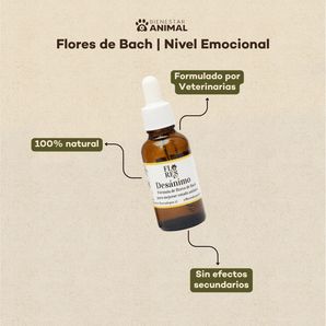 Flores de Bach para Perros — Desánimo y Tristeza - Bienestar Animal | By Flores de Paz