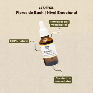Flores de Bach para Perros — Falta de Energía y Vitalidad - Bienestar Animal | By Flores de Paz