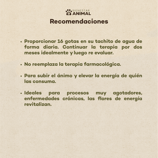 Flores de Bach para Perros — Falta de Energía y Vitalidad - Bienestar Animal | By Flores de Paz