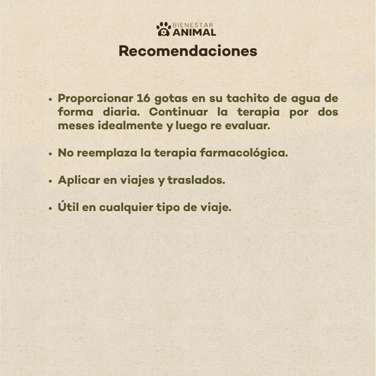 Flores de Bach para Perros — Mareos y Viajes - Bienestar Animal | By Flores de Paz