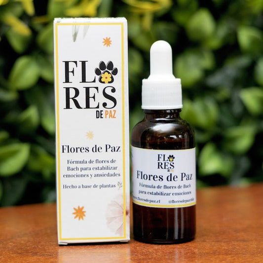 Flores de Paz – Miedos y Ansiedad en Perros y Gatos - Bienestar Animal | By Flores de Paz