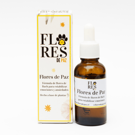 Flores de Paz – Miedos y Ansiedad en Perros y Gatos - Bienestar Animal | By Flores de Paz