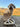 Juguete All In Harrots - Mordedor Perros y Loros - Bienestar Animal | By Flores de Paz