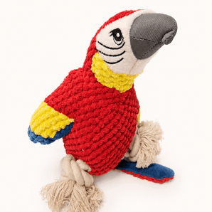 Loro / guacamayo con cuerdas - Bienestar Animal | By Flores de Paz