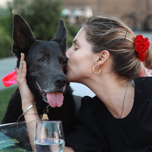 Segundo paso: Pack 6 Sesiones Etología Canina Jose Veterinaria - Tratamiento Emociones/Conductas - Bienestar Animal | By Flores de Paz
