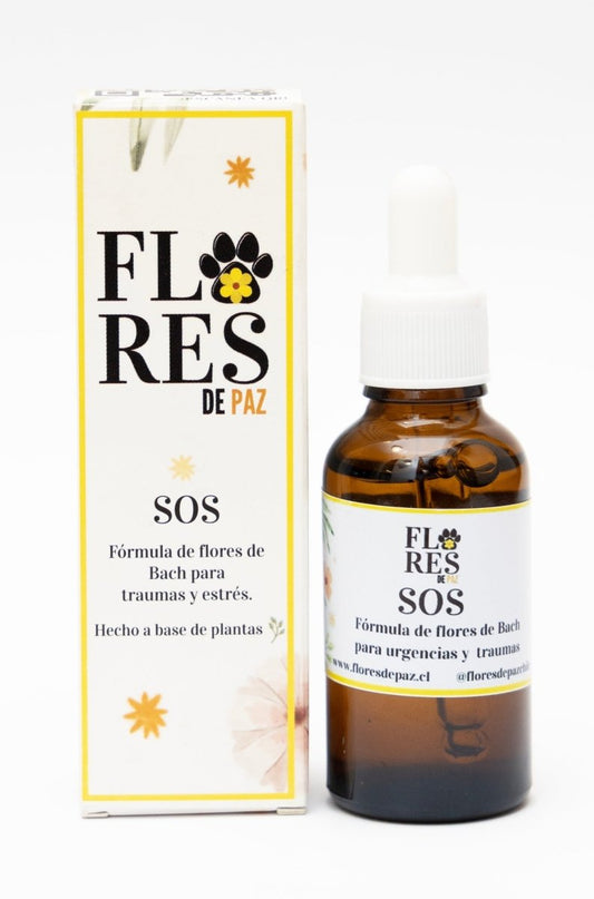 SOS – Estrés en Perros y Gatos - Bienestar Animal | By Flores de Paz